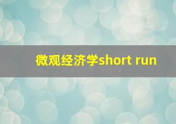 微观经济学short run